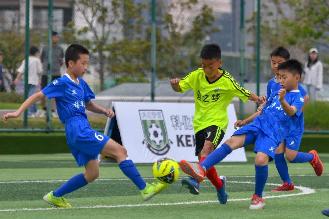 勇士在篮板 勇士在篮板