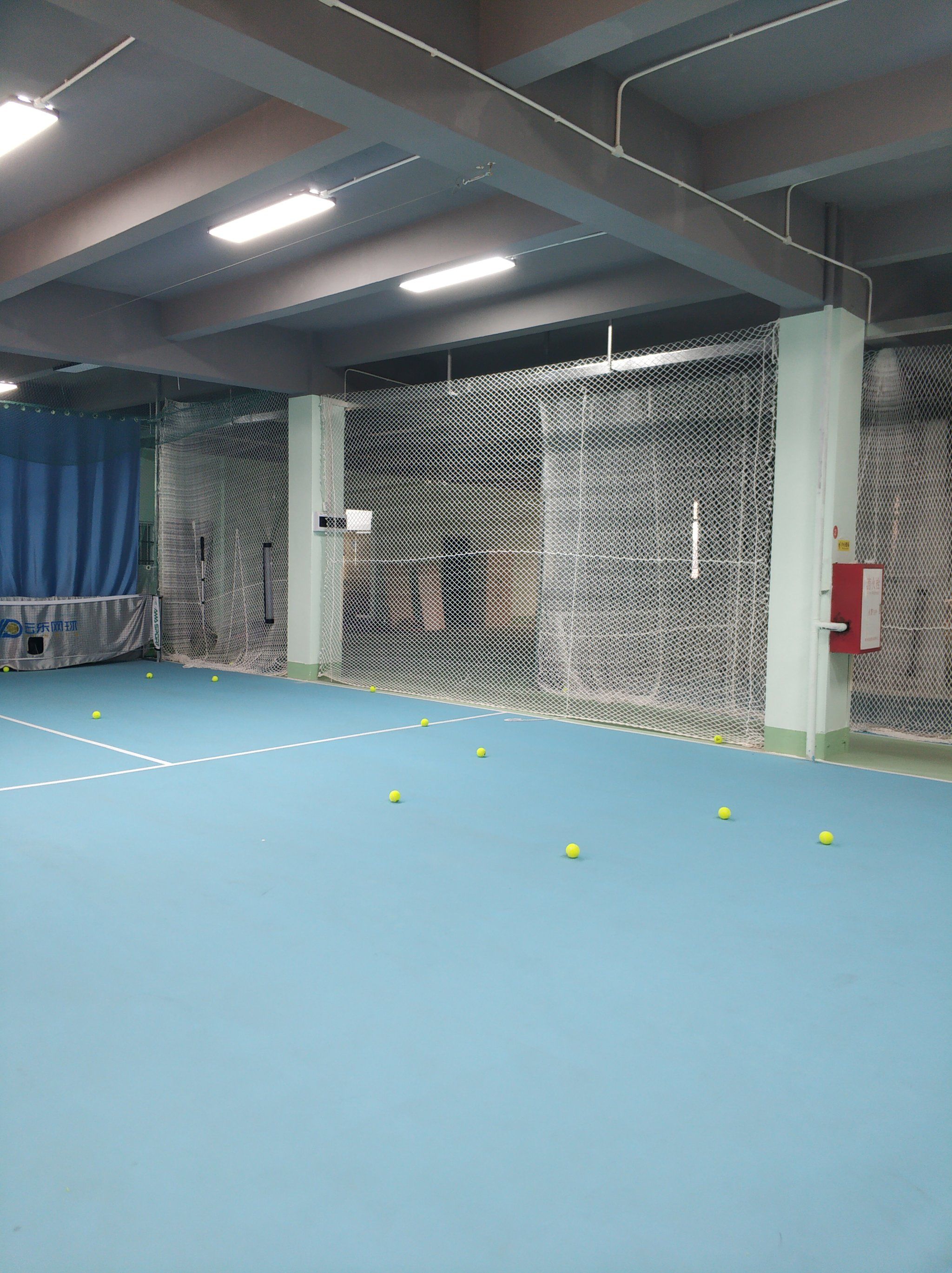 旧主的赛场 旧主的赛场