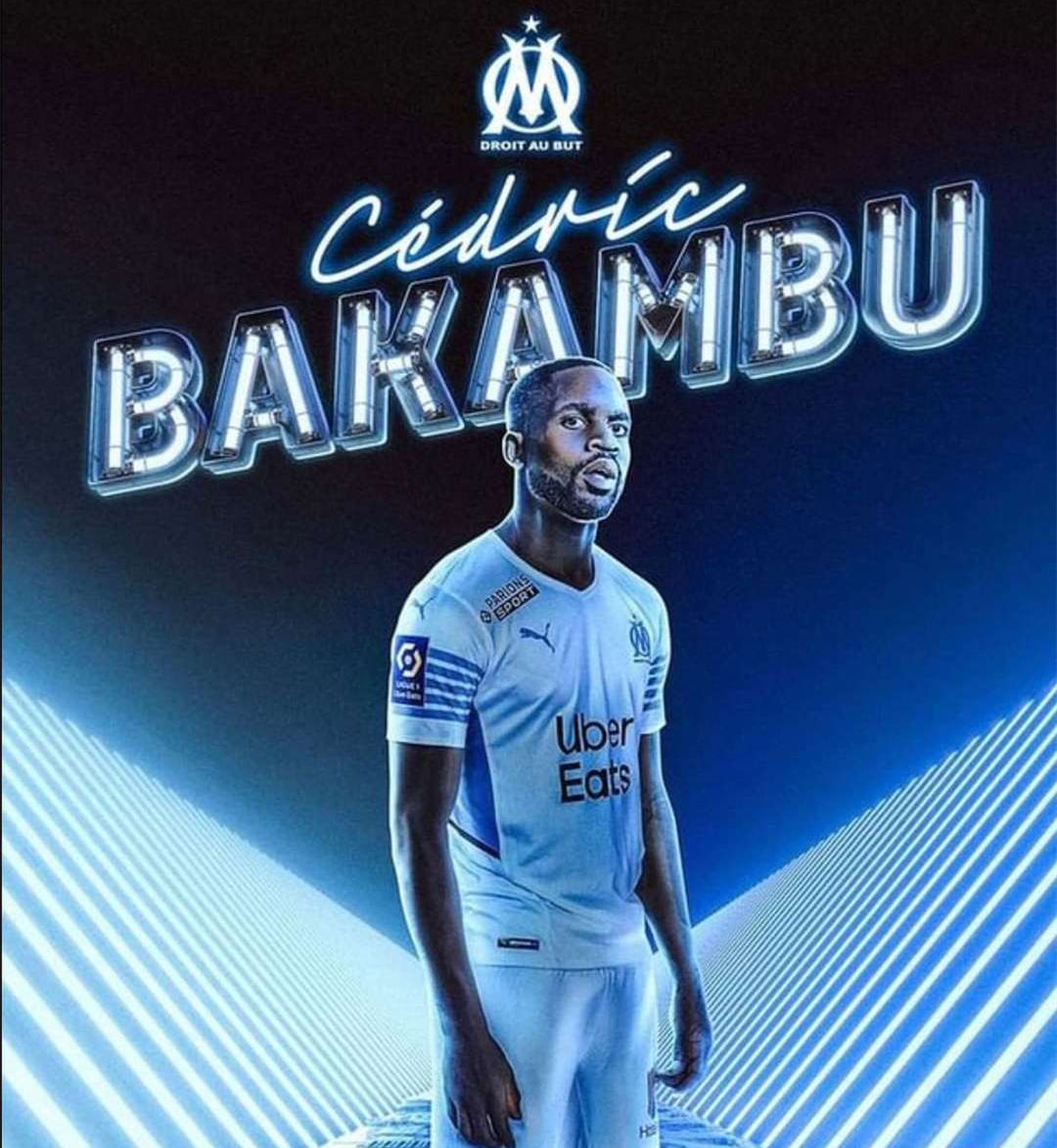 广泛的球迷 广泛的球迷